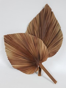 Éventails en feuilles de palmier naturelles vietnamiennes, couleurs mélangées, éventail traditionnel pour la décoration, en provenance du Vietnam - Product Image 3