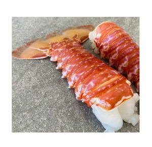 กุ้งมังกรแอฟริกาใต้แช่แข็ง สำหรับส่งออก ขายส่ง สำหรับโรงแรม ร้านอาหาร และผู้จัดจำหน่ายอาหารทะเล คุณภาพพรีเมียม - Product Image 1