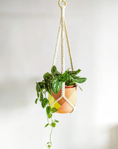 Meilleures ventes 2026 : Panier suspendu en filet pour plantes vertes en corde de coton tressée à la main, pot de fleurs suspendu, support pour plantes - Product Image 3