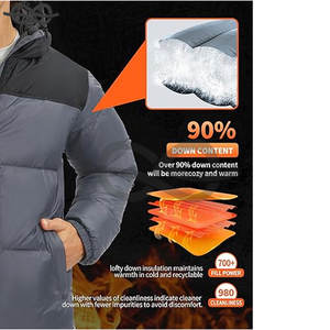 Veste en duvet pour hommes 700 Fill Winter Doudoune isolée Manteau bouffant imperméable et coupe-vent avec capuche Léger - Product Image 3