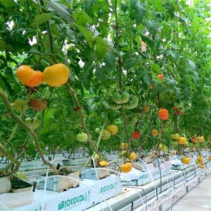 Agriculture hydroponique laine de roche 100x10x10cm serre tomate concombre laine de roche sac de culture - Product Image 4