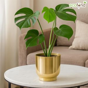 Maceta de Metal Galvanizado, Maceta de Jardín, Perfecta para Hierbas, Plantas, Patio de Casa, Exterior e Interior - Product Image 5