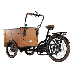 52V 1000W Zware Elektrische Driewielers 3 Wiel Elektrische Bakfiets Familie Centrale Motor