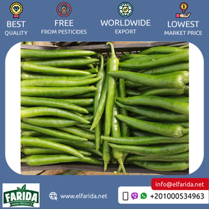 Giá cả cạnh tranh cao cấp lớp chất lượng hàng đầu nóng và cay Ai Cập tươi màu xanh lá cây ớt/tươi Ớt Đỏ từ đáng tin cậy Nhà cung cấp - Product Image 3