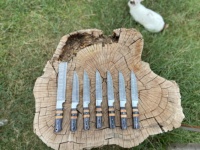 Sun Shine Supplies CS-005 Ensemble de six couteaux de chef faits à la main en acier Damas et acier au carbone avec manche en bois, couteau d'office inclus