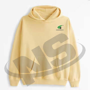 Fournisseur d'usine Sweat-shirt à capuche pour homme Basics en coton mélangé Couleur unie Casual Vêtement d'hiver Logo personnalisé - Product Image 6