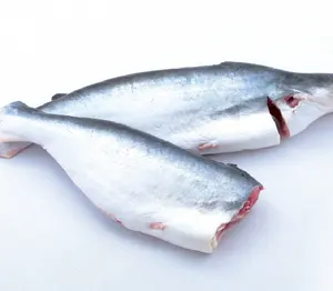 Professional supplier Superior Frozen WR Pangasius at Unbeatable Price