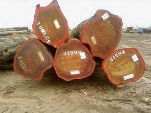 Dipterocarpus <b>Logs</b> <b>for</b> Sawmills Keruing <b>Logs</b> <b>for</b> <b>Firewood</b> Eco-Friendly Keruing Timber - Product Image 3