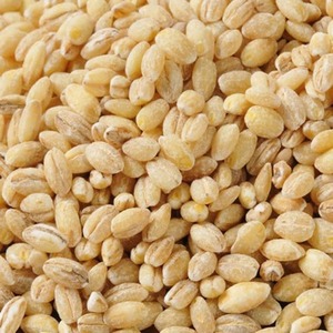Grains d'orge de première qualité pour le malt, l'alimentation maltée et l'alimentation animale maltée à vendre - Product Image 1