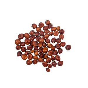 Snacks croustillants de qualité supérieure en gros : pois bruns salés séchés, pois séchés à vendre - Product Image 1