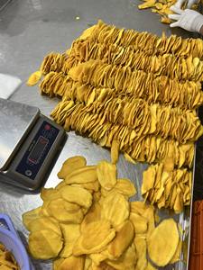 MANGO SECO CON SABOR DULCE NATURAL-REBANADAS DE MANGO SECO DE FABRICANTE DE VIETNAM-EL PRECIO MÁS BAJO PARA MANGO SECO MENOS AZÚCAR - Product Image 5
