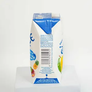 Großhandel frisches Fruchtgetränk ausgezeichnete Qualität Getränk leckere 200-ml-Papierbox Mango Fruchtsaft Getränk gesund für Export