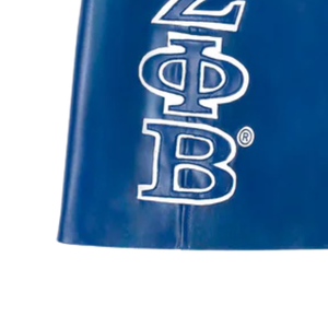 Limited Edition Pretty Kitty Zeta <b>Skirt</b> Womens Greek Sorority Vegan <b>Leather</b> <b>Mini</b> <b>Skirt</b> Zeta Phi Beta Trademark Design - Product Image 3