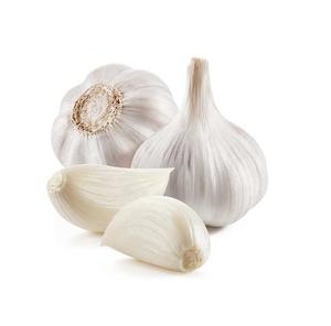 Ajo blanco fresco a la venta a precios asequibles Pedidos al por mayor y al por mayor disponibles Alta calidad garantizada - Product Image 1