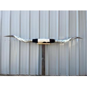 Decoración de Pared de Cuerno de Toro Estilo Vintage, Cuerno de Búfalo Indio Decorativo, Ecológico, Hecho a Mano, Decoración Animal para el Hogar - Product Image 6