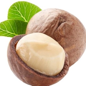 Bán buôn chất lượng tốt ở mức giá rẻ hạt <span class=keywords><strong>Macadamia</strong></span> người mua giá của hạt <span class=keywords><strong>Macadamia</strong></span> Hạt <span class=keywords><strong>Macadamia</strong></span> Hữu Cơ belgium - Product Image 3