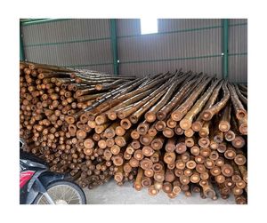 Caña de bambú de alta calidad, venta al por mayor, material natural ecológico para la construcción, proveedor exportador de Vietnam - Product Image 1