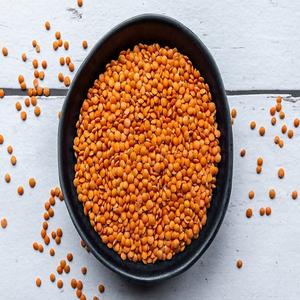 Organic Dried Red <b>Lentils</b>-Split and Football Types - Product Image 6