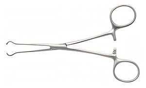 (Standard) Babcock Forceps acier inoxydable/pinces intestinales/pinces à raisin de ZACHARAY INDUSTRIES - Product Image 6