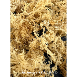 Musgo marino salvaje crudo Eucheuma Cottonii orgánico secado al sol musgo irlandés salado y sin sal al por mayor oro/Blanco/púrpura. - Product Image 2