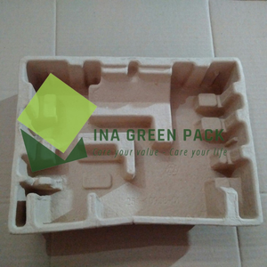 Embalaje de pulpa Moldeado Vina Green Pack Embalaje de pulpa de papel ecológico Bandeja de pulpa moldeada Embalaje de productos electrónicos - Product Image 4