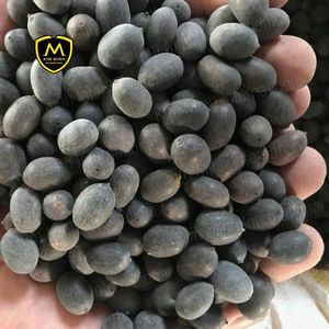 Wholesale DRIED BLACK LOTUS SEEDS from Vietnam -Jet Black & Affordable - Product Image 1