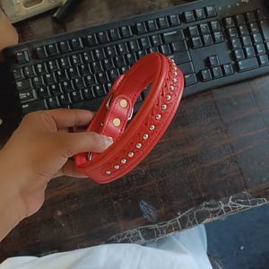 ปลอกคอสุนัขแบบถักหนัง Napa ปลอกคอสัตว์เลี้ยงแบบนุ่มดีไซน์หรูหรา - Product Image 2