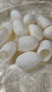 Silkworm Cocoon Decorative Beads Factory Bulk Wholesale Supply for Boutique Shop Display - Product Image 2