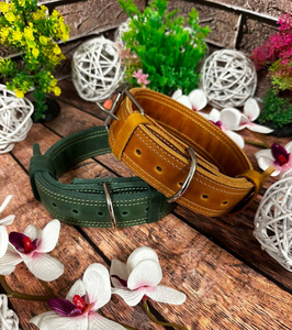 Engraved Dog <b>Collar</b>, Custom Dog High Quality Green Leather Hound Dog <b>Collar</b> for Greyhound and Whippet - Product Image 1