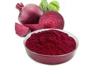 Polvo de extracto de remolacha de marca privada Premium Soluciones ODM/OEM para adultos Suplementos de hierbas No para mujeres embarazadas - Product Image 3