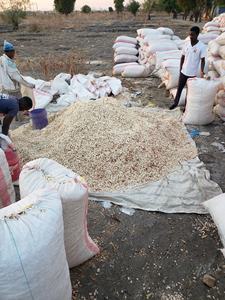 Graines et poudre de baobab crus biologiques Produit agricole naturel à vendre - Product Image 6