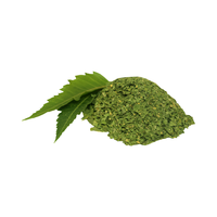 Poudre de feuilles de neem pure pour l'ubtan traditionnel indien et le masque facial éclaircissant naturel pour la beauté du jour du mariage