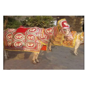 Traje de caballo bordado para boda india Traje de caballo decorado para boda hindú Traje de caballo bordado para boda india Traje de caballo bordado - Product Image 1