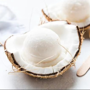 Poudre de lait de coco biologique en vrac, sans gluten et sans OGM pour la transformation industrielle des aliments | Mme Shyn Tran - Product Image 1