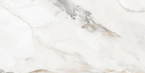 Best Supplier DLG-75 Porcelain Tiles High-Traffic Modern Design for Outdoor Interior Walls for Bathroom Villa Mall-Commercial - Product Image 3