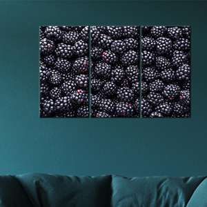 งานศิลปะบนผ้าใบพิมพ์ลายสมัยใหม่: ของตกแต่งผนังลายเบอร์รี่สุดหรู,3P:ห่อหุ้มอย่างดี - Product Image 1