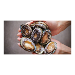 Approvisionnement en gros d'ormeaux frais de mer, livrés avec une qualité supérieure et un soin de qualité. - Product Image 5