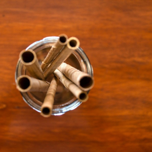 Vente chaude 100% pailles de noix de coco biodégradables jetables organiques pour boissons chaudes/froides réutilisables pour les événements de mariage Noël - Product Image 1