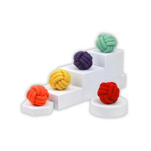 Juego de Juguetes de Cuerda con Pelota Arcoíris para Cachorros y Mascotas Pequeñas, Petite Pup - Product Image 1