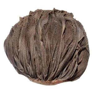 Boeuf séché salé Halal de qualité supérieure Omasum Organic Nature Caractéristique Emballage en vrac de style séché avec guide complet - Product Image 2