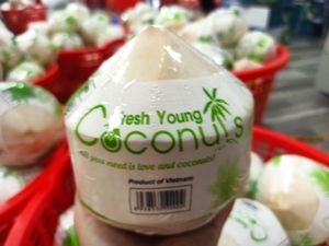 Pulpe de noix de coco semi-décortiquée fraîche pour boire - Qualité supérieure de noix de coco jeune en gros, prête à l'exportation - Product Image 2