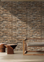 Carreaux muraux en porcelaine modernes résistants aux acides 300x600mm pour salle de bain, villa, façade de centre commercial