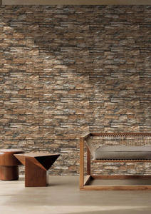 Carreaux de mur extérieur en porcelaine 300x600mm, panneaux de façade - Product Image 5