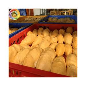 Durian congelé de haute qualité-Fruit tropical de source durable, audacieux et polyvalent, idéal pour le dessert et la crème. - Product Image 4