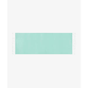 Muslim Winter Mint <b>Green</b> <b>Silk</b> Tassel Rectangular Plain Shawl - Product Image 3