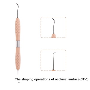 Professional Manufacturing High Quality Stainless Steel Custom Made Dental Silicone <b>Tooth</b> Filling Instruments for Sale - Product Image 5