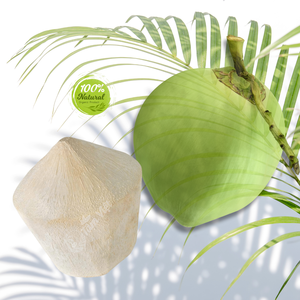 Coco pelado con diamante: una tendencia de Salud Global arraigada en la tradición - Product Image 4