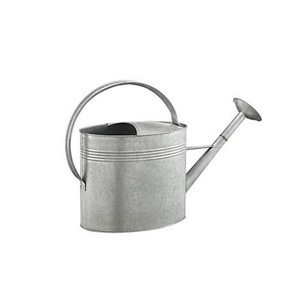 Home & Hotel Garden Usage Decorative Metal Water <b>Can</b> Glossy Finishing Sustainable <b>Watering</b> <b>Can</b> For Daily Used - Product Image 5