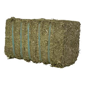 Alfalfa Hay for Farm <b>Feeding</b> Get Natural Green Alfalfa Hay Delivered Fast in Bulk at Competitive Rate - Product Image 4