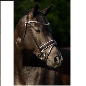 Brida de cuero con filete de caballo Diseño personalizado Precio barato Venta al por mayor Brida de cuero con filete de caballo Cuero real Alta calidad 2019 - Product Image 5